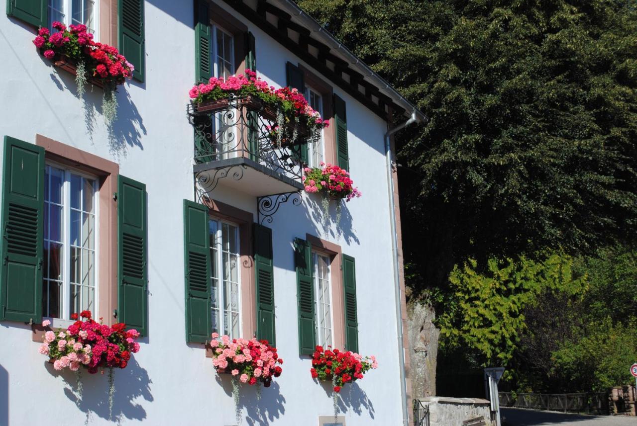 La Vieille Eglise Bed and Breakfast Le Hohwald Εξωτερικό φωτογραφία